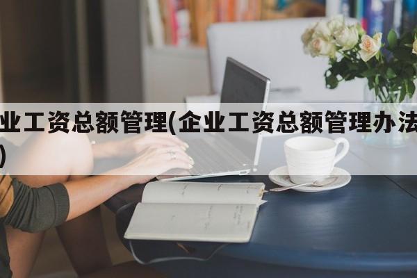 企业工资总额管理(企业工资总额管理办法方案)