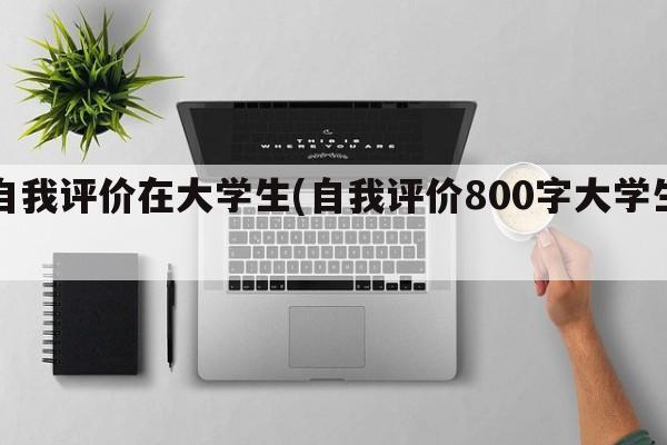 自我评价在大学生(自我评价800字大学生)