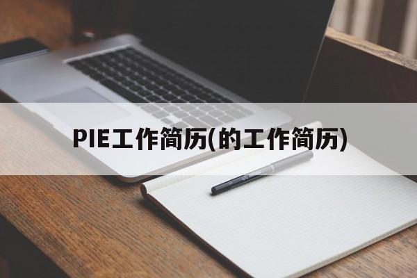 PIE工作简历(的工作简历)